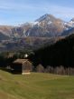 20051108-surrein-418.jpg