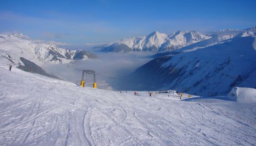 Januar 2010
