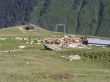 20060716-tegiagronda1004.jpg