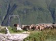 20060716-tegiagronda1005.jpg