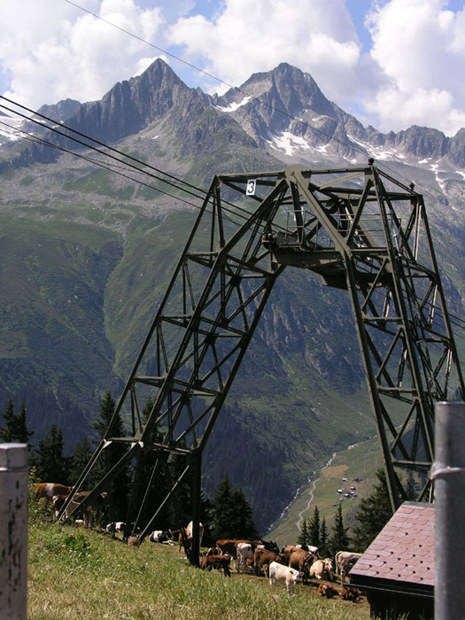 Juli 2006
