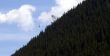 20060716-sedruntgom03.jpg