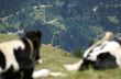 20060717-sedrun-tgom-b1930.jpg