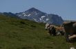20060717-sedrun-tgom-b1946.jpg