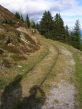 200610-tgom-220075.jpg