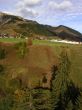 200610-tgom-220121.jpg