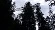 20070728-tgom-050973.jpg
