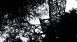 20070728-tgom-050975.jpg