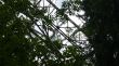 20070728-tgom-050988.jpg