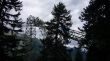 20070728-tgom-050990.jpg