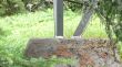 20070728-tgom-050992.jpg
