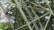 20070728-tgom-060003.jpg