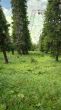 20070728-tgom-060029.jpg