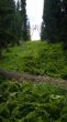 20070728-tgom-060035.jpg