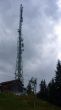 20070728-tgom-060038.jpg