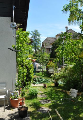 Vermutlich das einzige erhaltene Doppelmayer-Gehänge des ersten Sedruner Bügelliftes in Valtgeva, konserviert in Bern auf einem Ehrenplatz!
