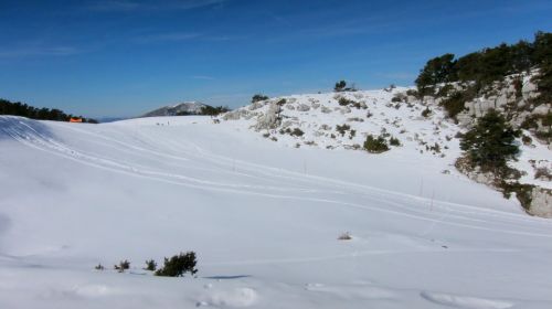 23. Februar 2012
