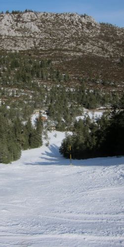 Netter Steilhang! Leider hats oft (Kalk)Steine auf der Piste, die wegen der hellen Farbe kaum erkennbar sind
