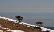 20120223-b-audibergue-0663.jpg