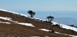 20120223-b-audibergue-0689.jpg