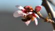 20120224-seillans-2432.jpg