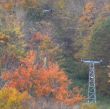 20131014-b-brodie-0089b.jpg