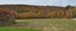 20131014-b-brodie-0092.jpg