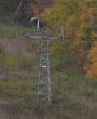 20131014-b-brodie-0093c.jpg
