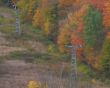 20131014-b-brodie-0094v.jpg