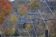 20131012-c-butternut-0064.jpg