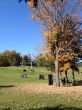 20131013-b-butternut-1169.jpg