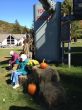 20131013-b-butternut-1179.jpg
