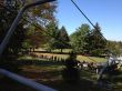 20131013-b-butternut-1183.jpg
