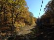20131013-b-butternut-1203.jpg