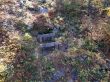 20131013-b-butternut-1210.jpg