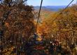 20131013-b-butternut-1229.jpg