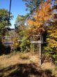 20131013-b-butternut-1243.jpg