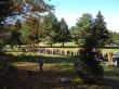 20131013-b-butternut-1266.jpg