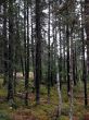 20131021-chibougamau-1810.jpg