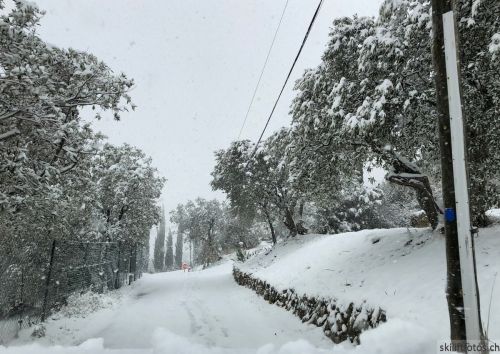 Seillans, 26. Februar 2018 

