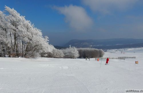 20180227-d-rousset-036.jpg