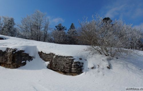 20180227-d-rousset-201.jpg
