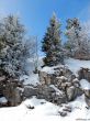 20180227-d-rousset-203.jpg