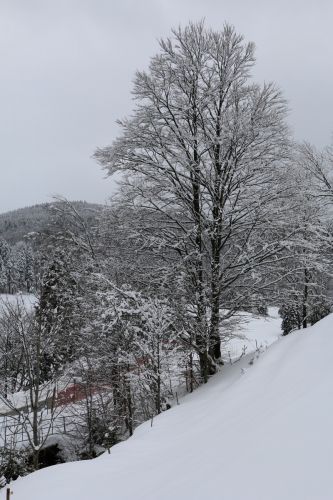 Skilift Köpfle, Muggenbrunn (Gastfoto von Stefan&Jens), 2014
