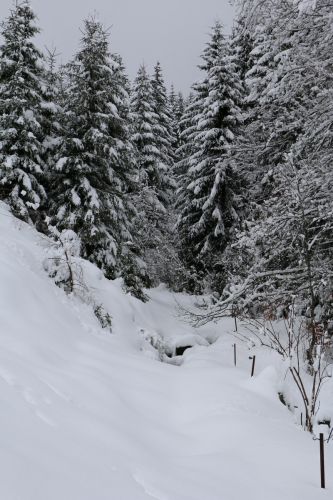 Skilift Köpfle, Muggenbrunn (Gastfoto von Stefan&Jens), 2014
