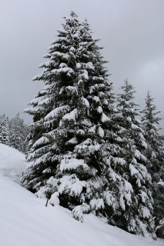 Skilift Köpfle, Muggenbrunn (Gastfoto von Stefan&Jens), 2014
