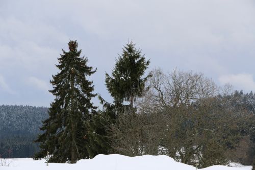 Skilift Ibach (Gastfoto von Stefan&Jens), 2014
