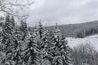 20140202-skilift-jens-0405.jpg