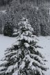 20140202-skilift-jens-0414.jpg