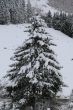20140202-skilift-jens-0426.jpg